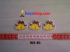 WS 40 medium.jpg